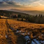 这份恋情望你察觉在线观看 ks16xj